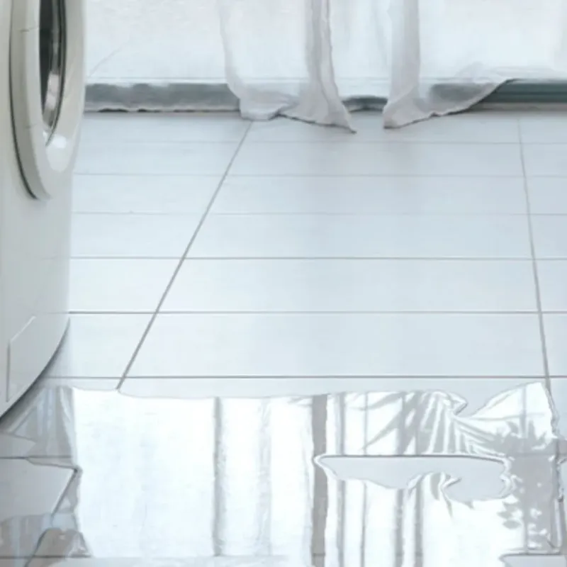 Appliance Leak Cleanup in Washington County, NE