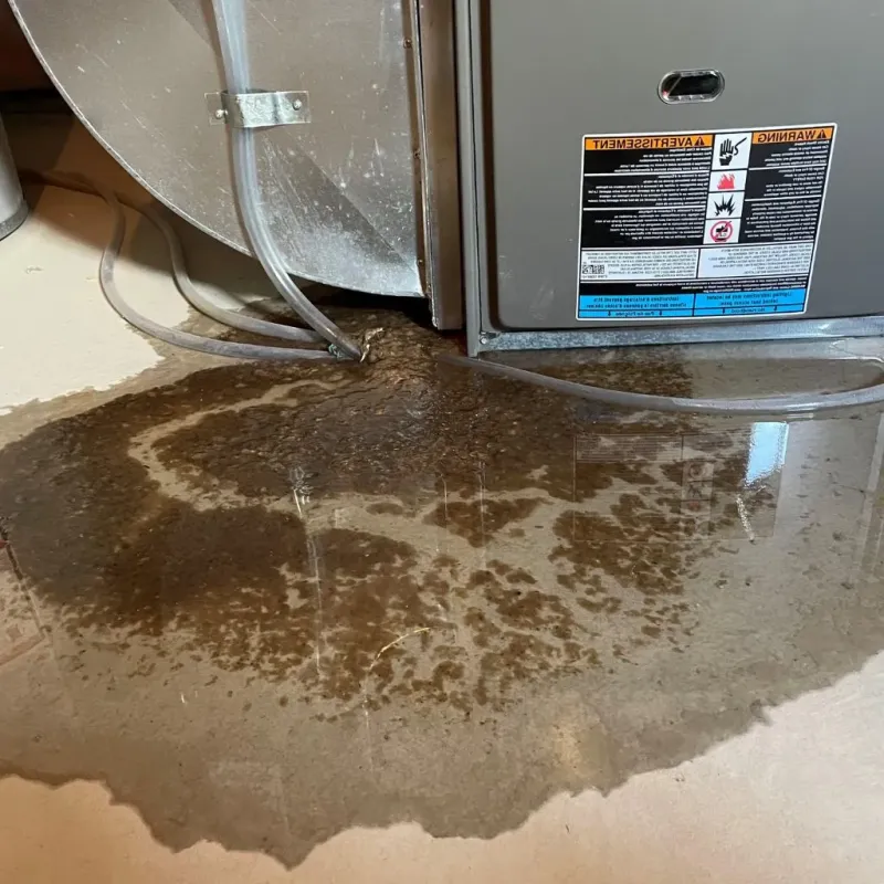 Pipe Burst and Leak Restoration in Washington County, NE
